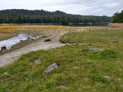 Low tide (2)