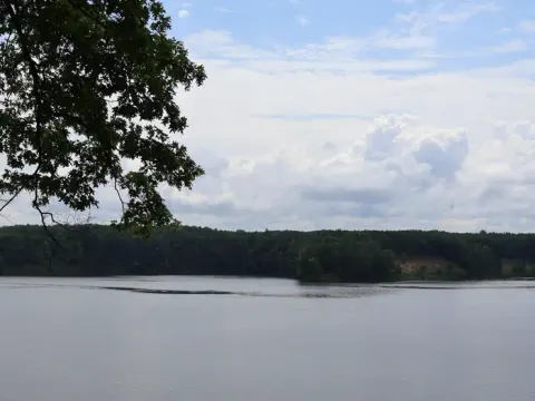 View of Manistee River Backwaters