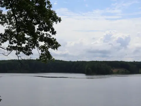 Huron-Manistee National Forests recreation area