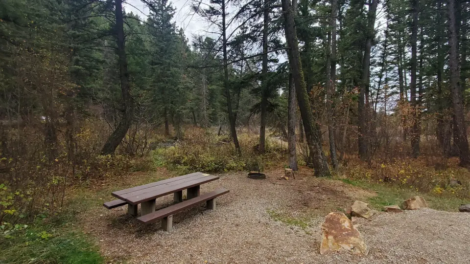 Campsite with picnic table, fire ring, douglas fir trees