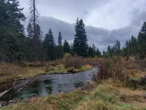 Beaverhead-Deerlodge National Forest recreation area