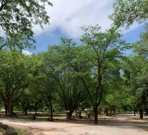 A paved road meet in a "v" in the center of the image, going across the image on the left side and up the image on the right side. Many trees are in the background.