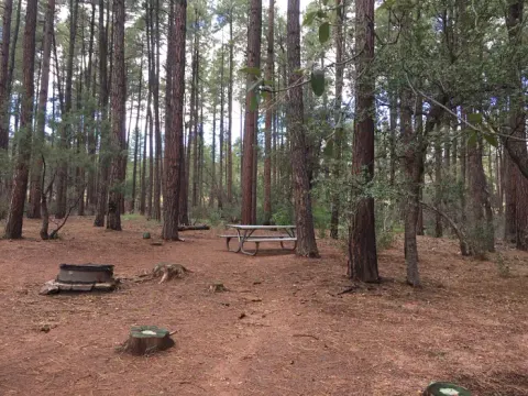 Ponderosa CG