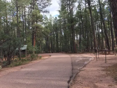 Tonto National Forest recreation area