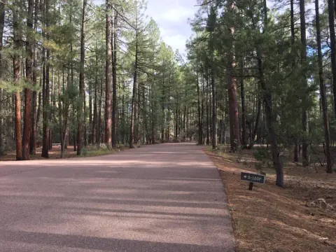 Tonto National Forest recreation area