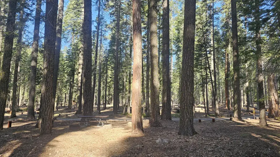 Lassen National Forest recreation area