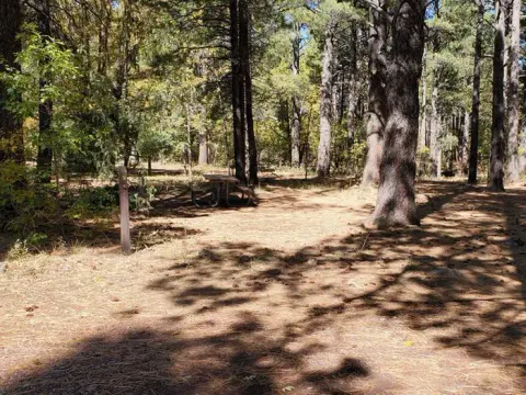 Coconino National Forest Recreation recreation area