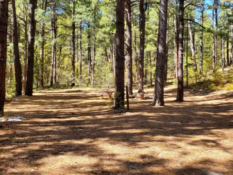 Coconino National Forest Recreation recreation area