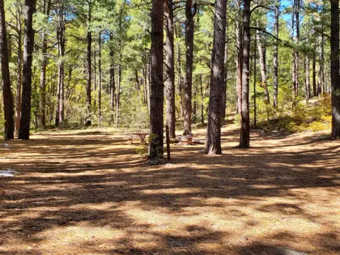 Coconino National Forest Recreation recreation area