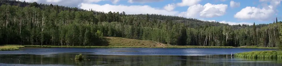 Upper Barker Reservoir surrounded by aspen and conifer trees.