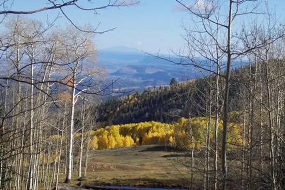 Dixie National Forest recreation area