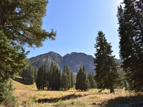 Uinta-Wasatch-Cache National Forest recreation area