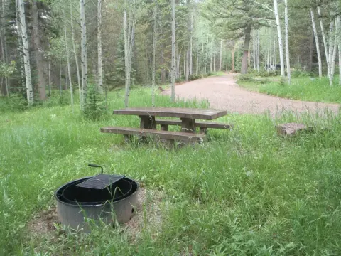 Red Springs Campground - Pull Through Site.
