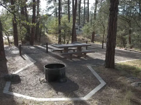 Accessible White Spar Site 10 with pull-in parking and flat graveled table and fire pan