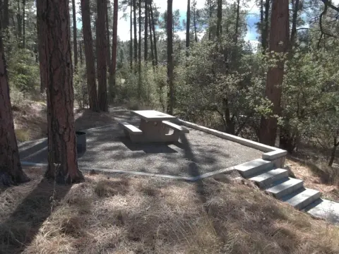 Site 14 picnic area perched on the hill with four concrete stairs to reach it