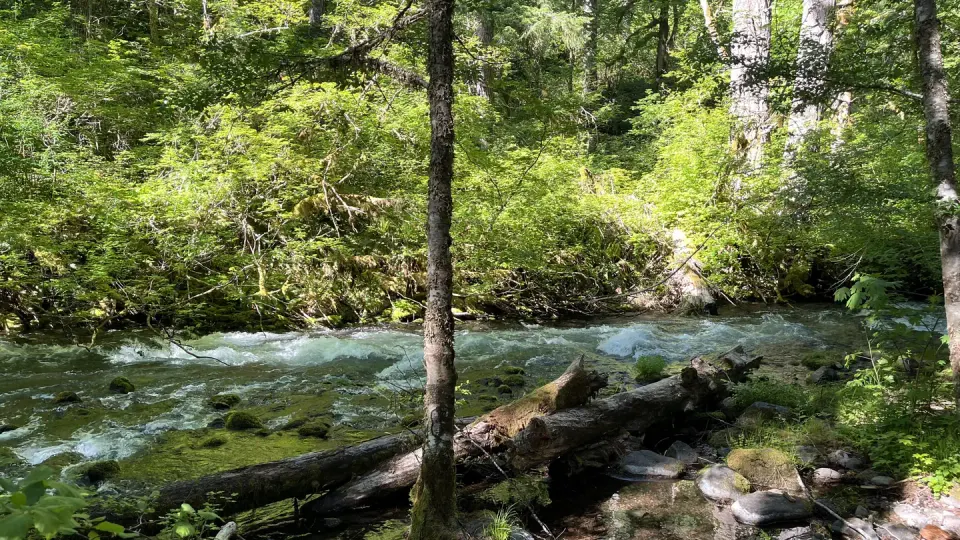 Willamette National Forest recreation area