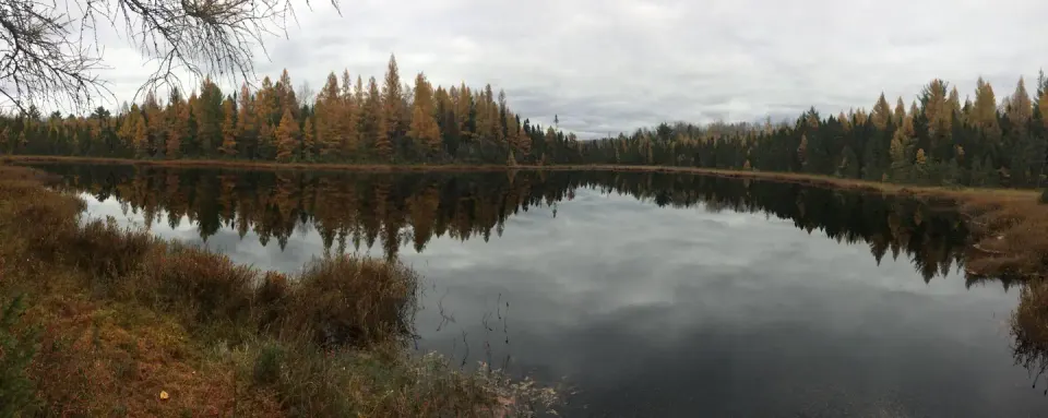 Chequamegon-Nicolet NF recreation area