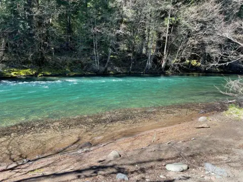 Willamette National Forest recreation area