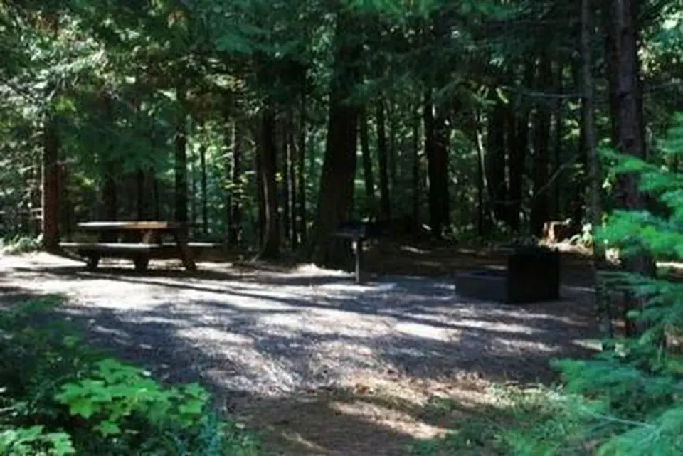 Campsite in forest with picnic table in dappled sun and grill and fire pit in shade.