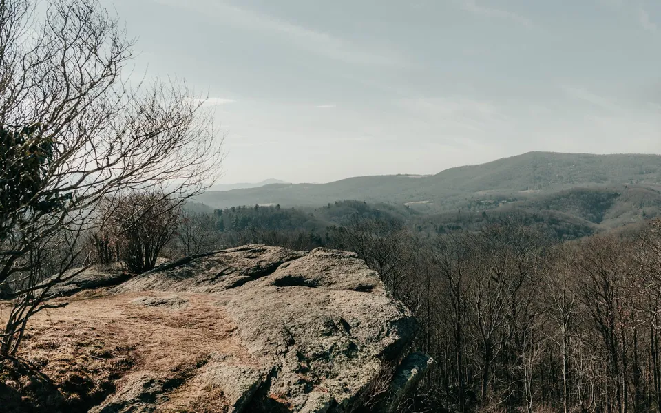 Expansive view of Asheville's mountains and forest, capturing the essence of fall.