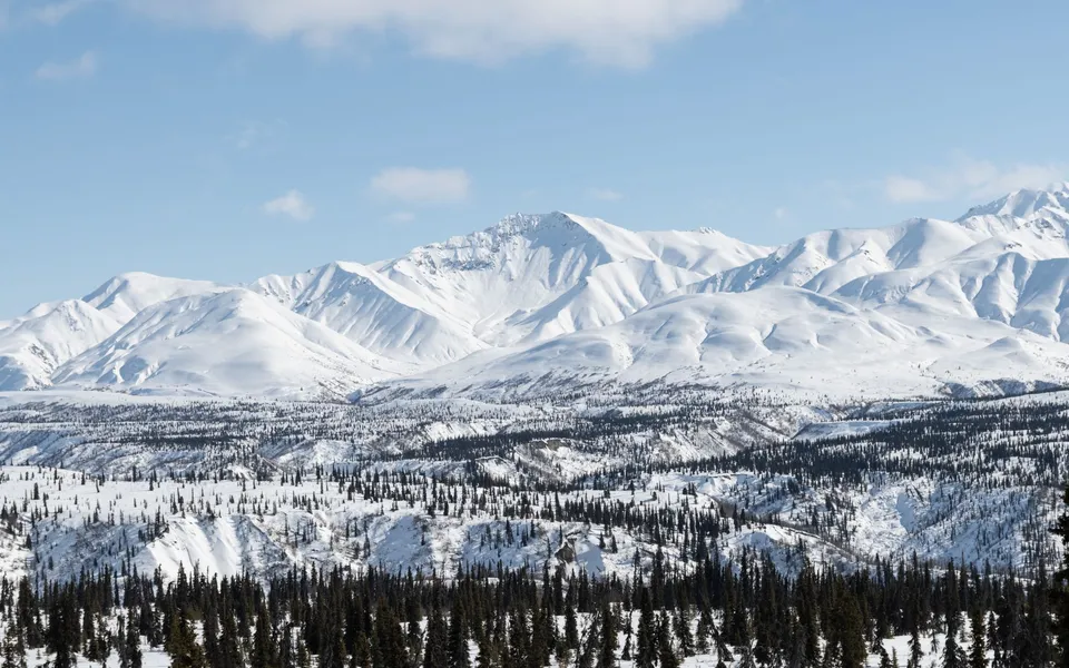 Breathtaking view of snow-covered Alaskan mountains with evergreen trees during winter.