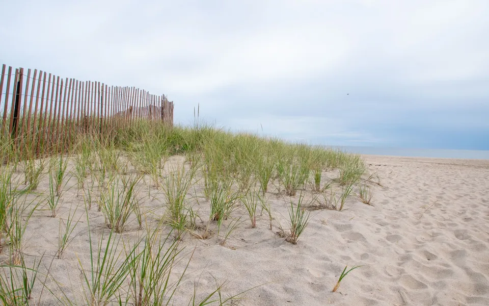 A tranquil beach scene at Charlestown, Rhode Island, featuring sand dunes with grass and a wooden fence under a cloudy sky.