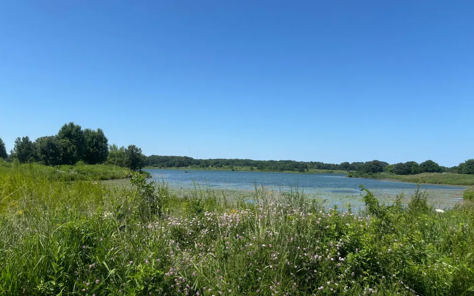 A scenic view of a serene lake surrounded by lush greenery under a clear blue sky.