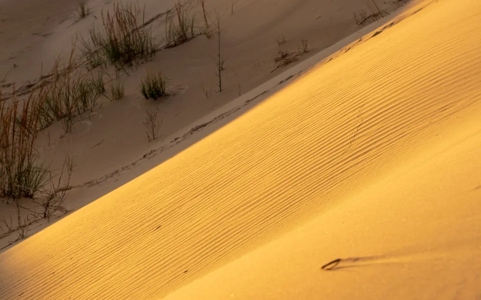 Captivating golden dunes in Monahans, Texas, showcasing natural desert beauty at sunset.