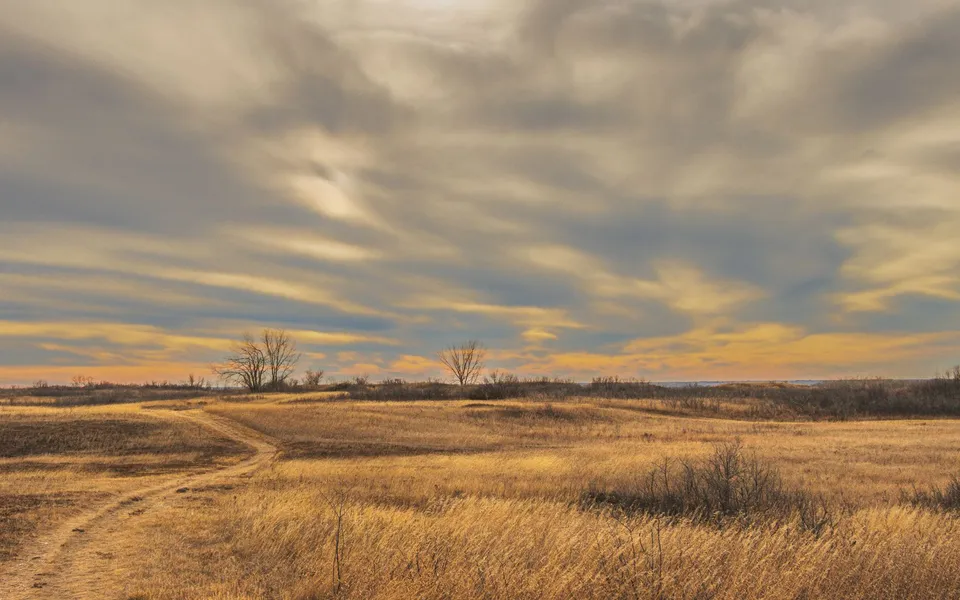 Serene prairie landscape in Saskatoon, Canada with vibrant sunset hues and wispy clouds.