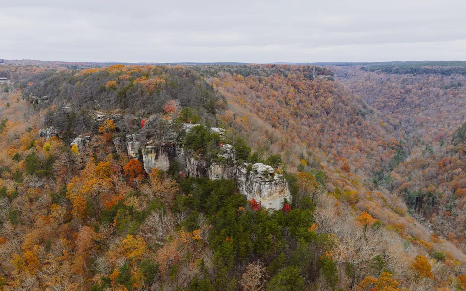 Stunning aerial view of autumn foliage in Dayton, Tennessee showcasing vibrant fall colors.