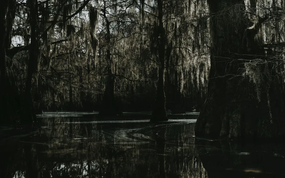 A mysterious swamp scene with cypress trees and Spanish moss creating a dark and eerie atmosphere.