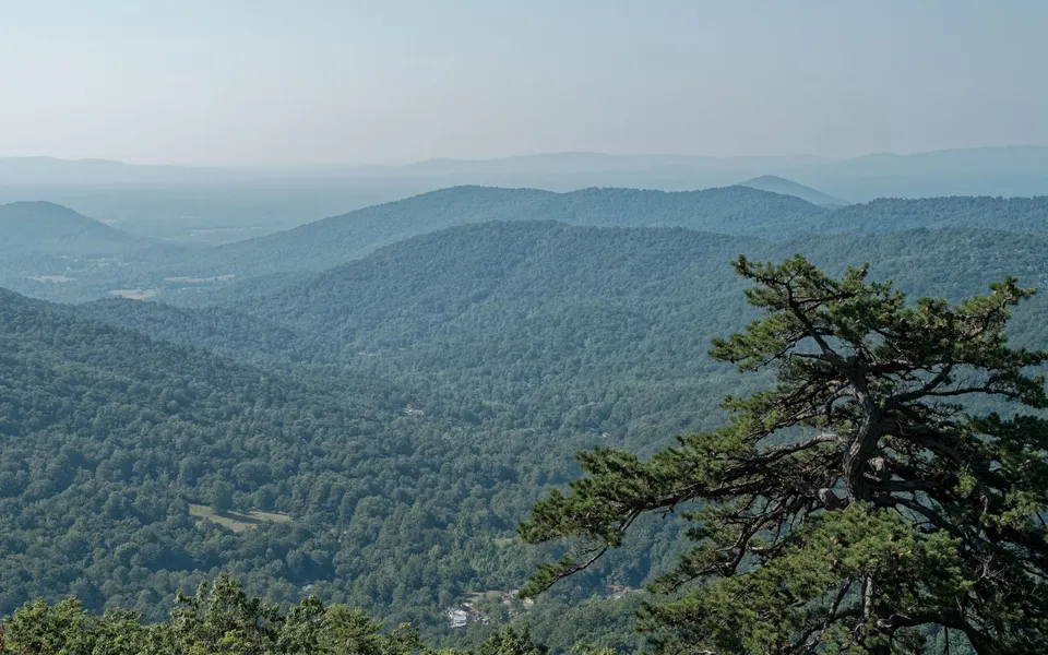 Serene view of lush green mountains in Shenandoah National Park, Luray, VA.